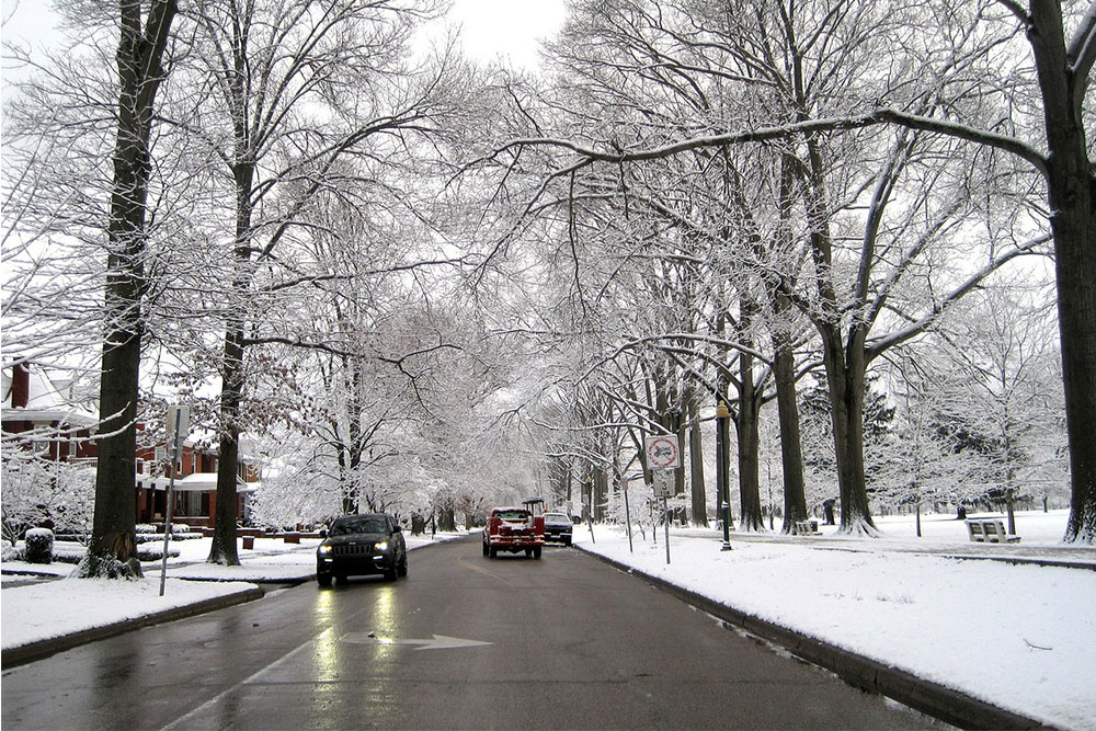 Winterdienst  für Hauseingänge, Parkanlagen, Fußwege